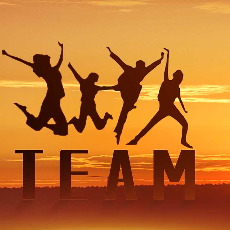 Company News | YangMai Held 2025 Summer Team-Building Event