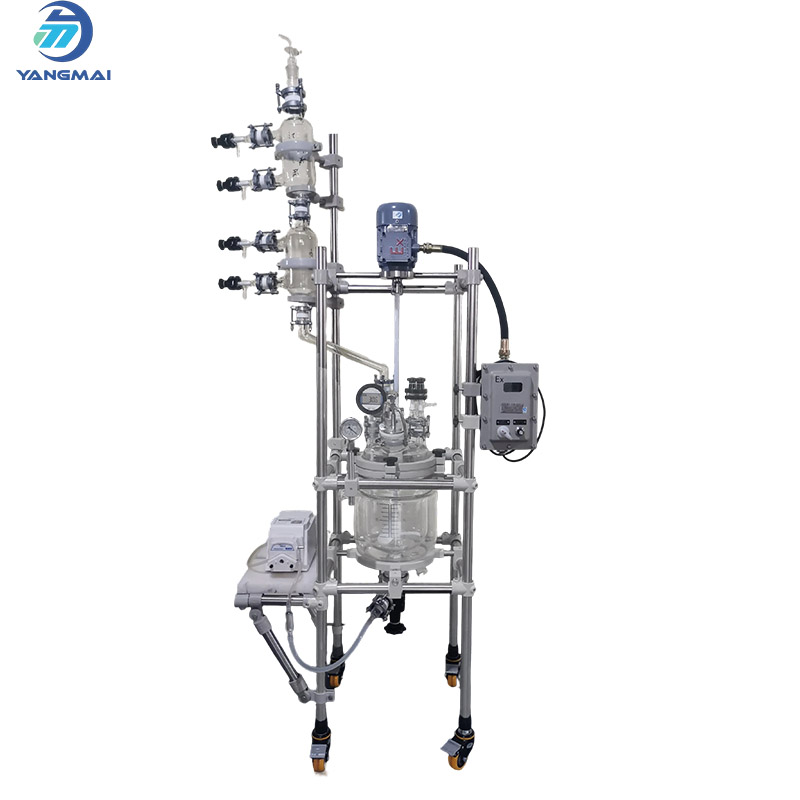 5L Glass Reactor with Peristaltic Pump