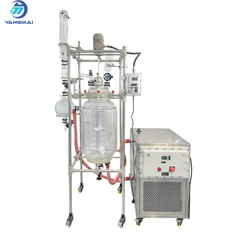 Glass Reactor with High and Low Temperature Integrated Circulator