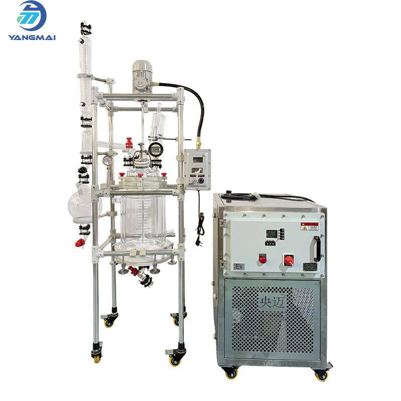 Glass Reactor with Ex Heating and Cooling Circulator