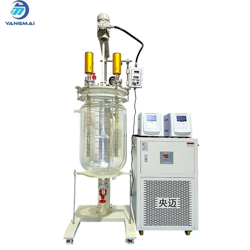 Glass Reactor with Heating and Cooling Machine