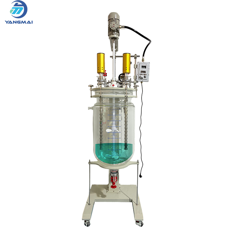 Glass Reactor with Ultrasonic Crusher