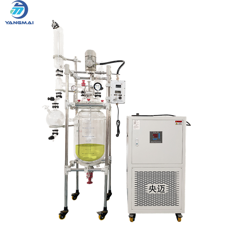 Glass Reactor with Heating and Cooling Circulator