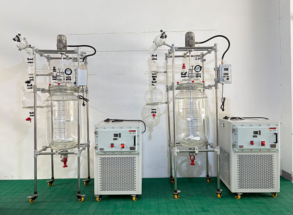 Glass Reactor for Esterification Process Glass Reactor for Esterification Process
