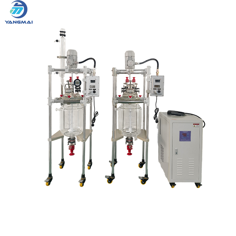 Glass Reactor with Heating Circulator