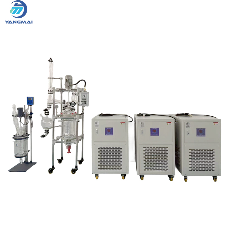 5L/10L Glass Reactor