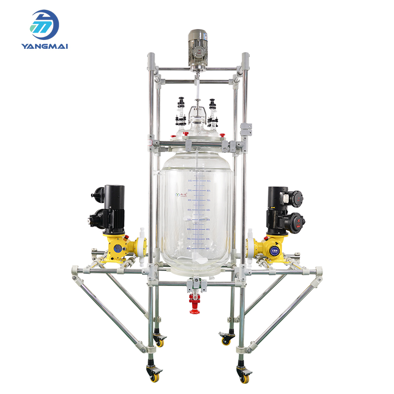 100L Customized Glass Reactor