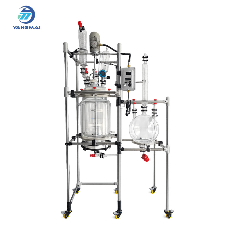 Glass Solid Phase Reactor (Glass Nutsche Reactor) for Efficient Chemical Processing | Hefei Yangmai