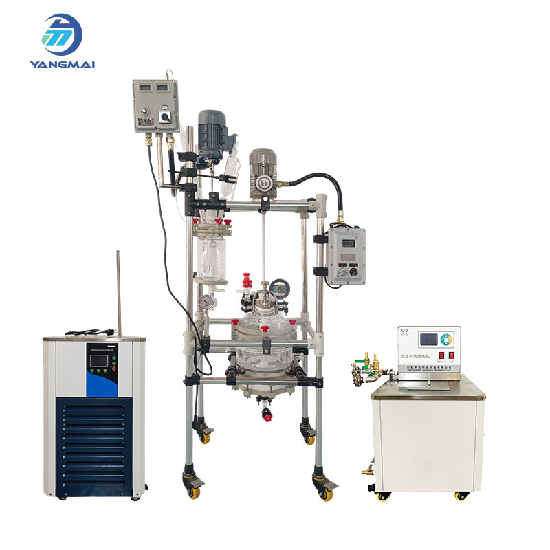 Customized Solid Phase Glass Reactor for Pharmaceutical and Chemical Applications